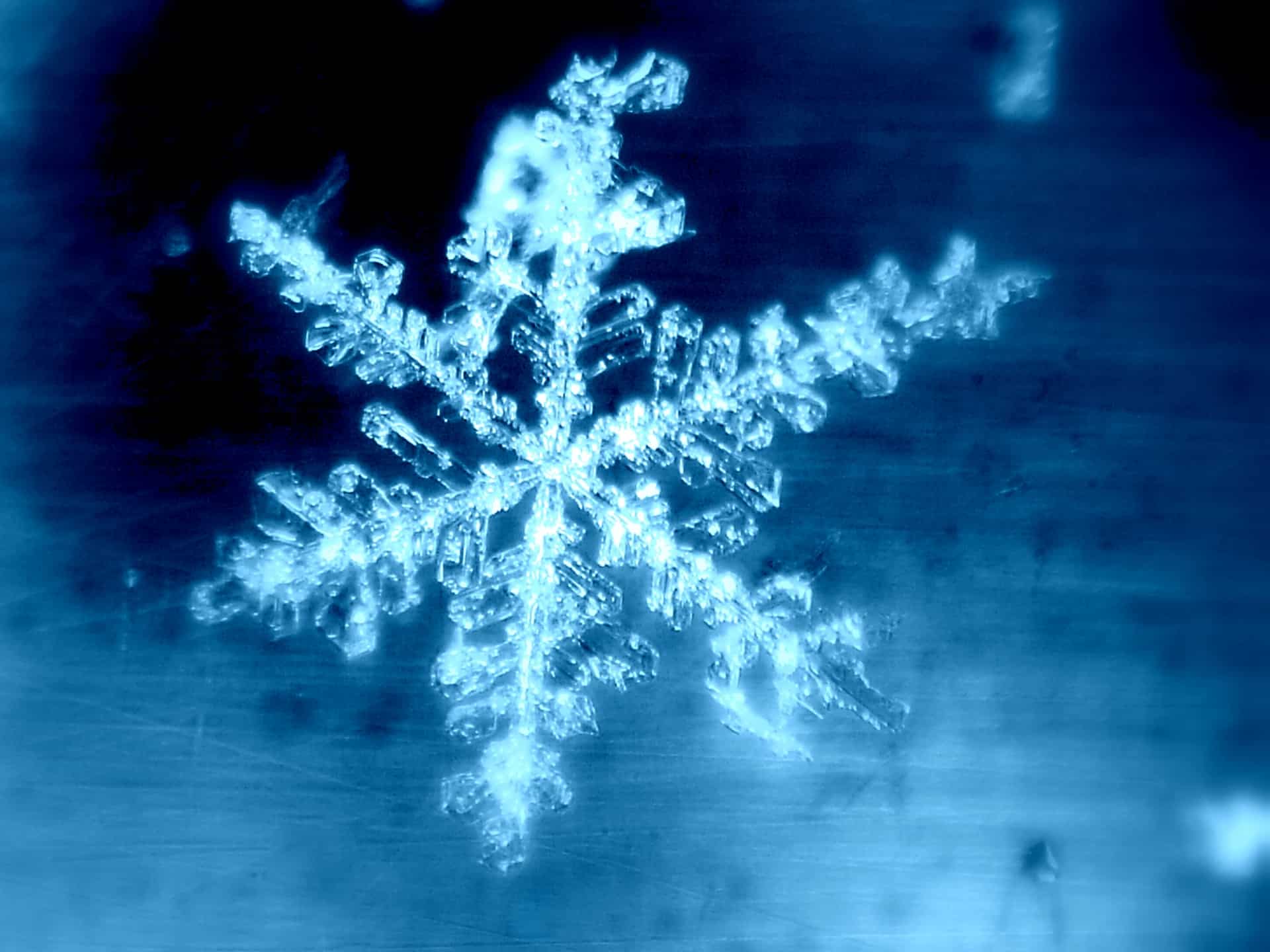 雪の結晶の画像