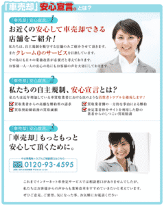 安心車.jpのピクチャ