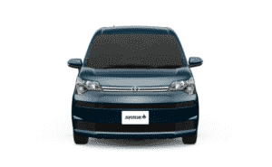 スペイド：ブラッキッシュアゲハガラスフレーク（フロント）