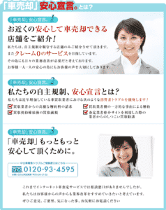 安心車.jpのピクチャ